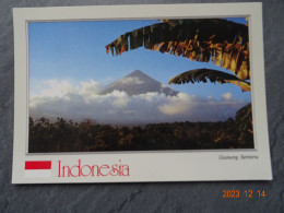 GUNNUNG SEMERU - Indonésie