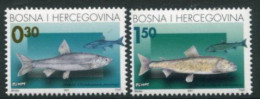 BOSNIA HERCEGOVINA (CROAT) 2001 Fish MNH / **.  Michel 68-69 - Bosnie-Herzegovine