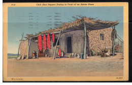 490z * TUCSON * CHILI ( ROTER PFEFFER ) * DRYING IN FRONT OF ADOBE HOME * 1947 **! - Tucson