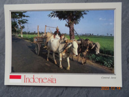 CENTRAL JAVA - Indonésie