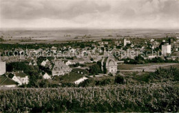 42874349 Gruenstadt Panorama Gruenstadt - Grünstadt