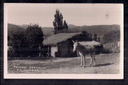 PH - Photo Originale - ARGENTINA - CORDOBA - LA CUMBRE, PAISAJE SERRANO - America