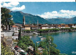 CP ASCONA -non Circulée - Ascona