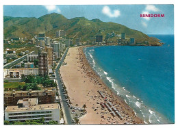 PLAYA DE LEVANTE / EASTERN BEACH.- BENIDORM / ALICANTE.- ( ESPAÑA ) - Alicante