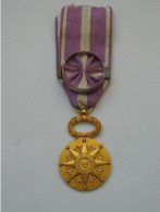 Décoration Civile - Médaille D'honneur - Etoile Civique   ***** EN ACHAT IMMEDIAT **** - France