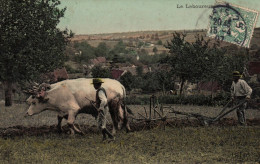 Agriculture - Le Laboureur - Attelage De Boeufs - Labour Agriculture Paysans - Wagengespanne