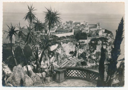 MONACO JARDIN EXOTIQUE DE MONACO LA COTE D AZUR POST MARK 1939 - Jardín Exótico