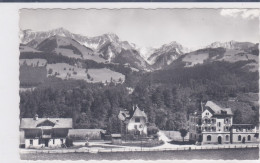 Grandvillard-Villars-sous-Mont, Gare Et Hôtel. Carte-photo - Grandvillard