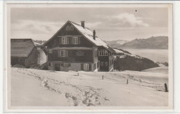 ALP SCHEIDEGG OB WALD - Wald