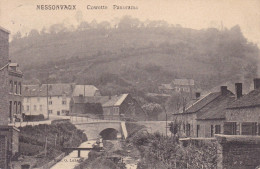 14-18 NESSONVAUX  Cowette Panorama Carte Postée Vers Bruxelles En 1913 Ou 1919 - Trooz