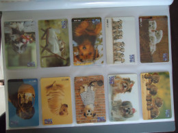 THAILAND USED SET 10   CARDS PIN 108 ANIMALS DOG DOGS - Cani