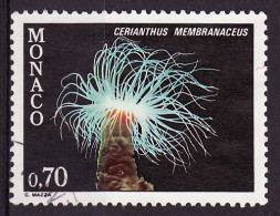 Monaco 1980 Y&T N°1261 - Michel N°1457 (o) - 70c Cerianthus Membranaceus - Used Stamps