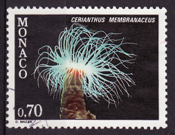 Monaco 1980 Y&T N°1261 - Michel N°1457 (o) - 70c Cerianthus Membranaceus - Oblitérés