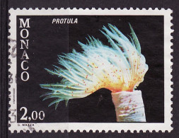 Monaco 1980 Y&T N°1263 - Michel N°1459 (o) - 2f Protula - Used Stamps