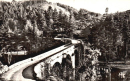 CPSM 48 - AUMONT - AUMONT Et Ses Environs - Le Pont De Basile - - Aumont Aubrac