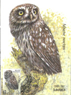 Belgium  - Daniels - Maximum Card 1999 Ransart :  Little Owl  -  Athene Noctua - 1991-2000