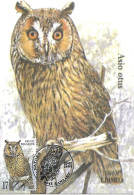 Belgium  - Daniels - Maximum Card 1999 Ransart :   Long-eared Owl - Asio Otus - 1991-2000