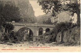 Amelie Les Bains Pont De L'hopital Militaire - Amélie-les-Bains-Palalda