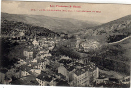 Amelie Les Bains Vue Generale Du Midi - Amélie-les-Bains-Palalda