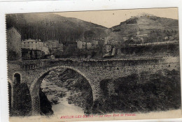 Amelie Les Bains Le Vieux Pont De Palalda - Amélie-les-Bains-Palalda