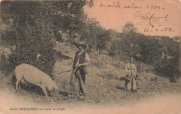 FRANCE - Deux Périgords Cherchant La Truffe - Modèle Lalon 1904 - Paysans Avec Leur Cochon - Carte Postale Ancienne - Autres & Non Classés