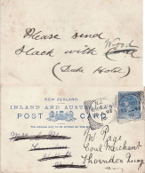 NEW ZEALAND 1892 POSTCARD SENT FROM WELLINGTON - Cartas & Documentos