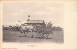 MADAGASCAR - Diego Suarez - Bœuf Porteur - Zébu Tirant Une Charrette - Edition M Jourdil - Carte Postale Ancienne - Madagascar