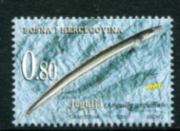 BOSNIA HERCEGOVINA (CROAT) 2000 European Eel MNH / **.  Michel 62 - Bosnien-Herzegowina