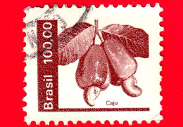 BRASILE - Usato - 1981  - Risorse Economiche Nazionali - Caju - Cashew - 100.00 - Oblitérés