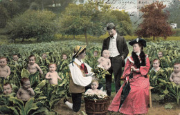 FANTAISIE - Bébé - Cueillette De Bébé Dans Les Choux - Couple Choisissant Un Bébé - Colorisé - Carte Postale Ancienne - Baby's