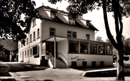 BAD RAPPENAU / GASTHOF PENSION UND BRAUEREI HÄFFNER - Bad Rappenau