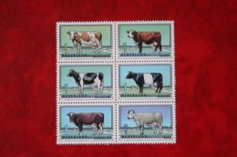 Rundveerassen Koe Cow Kuh Vache NVPH 2973-2978 (Mi 3010-3015) 2012 MNH / POSTFRIS NEDERLAND - Ongebruikt