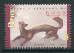 BOSNIA HERCEGOVINA (CROAT) 1999 Fauna: Pine Marten  MNH / **.  Michel 53 - Bosnien-Herzegowina