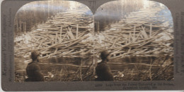Carte Stéréoscopique 9cm X18 Cm . U.S.A. MAINE. Logs From The Forest Delivered At The Stream  AROOSTOK County - Autres & Non Classés