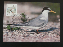 Carte Maximum Card Mouette Gull Allemagne Germany 1991 (Ahrensburg) - Möwen
