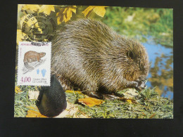 Carte Maximum Card Castor Beaver Stes Maries De La Mer 13 Bouches Du Rhone 1991 (ex 2) - Nager