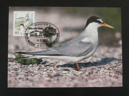 Carte Maximum Card Mouette Gull Allemagne Germany 1992 (Munster) - Möwen