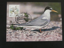 Carte Maximum Card Mouette Gull Allemagne Germany 1992 (Rheda) - Mouettes