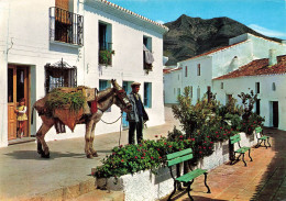 Espagne - Malaga - Benalmadena - Coin Typique Et La Chaine De Montagnes Au Fond - Colorisé - Carte Postale - Malaga