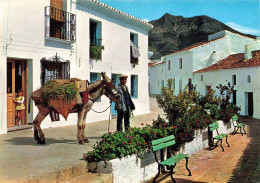 Espagne - Malaga - Benalmadena - Coin Typique Et La Chaine De Montagnes Au Fond - Colorisé - Carte Postale - Málaga