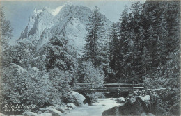 SUISSE - Grindelwald - Le Wetterhorn - Carte Postale Ancienne - Grindelwald