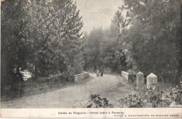 CALDAS DA FELGUEIRA - Ponte Sobre O Pontanha - PORTUGAL - Viseu