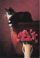 ANIMAUX ET FAUNE - Un Chat Noir Et Blanc Sur Le Buffet à Côté D'un Vase - Colorisé - Carte Postale - Katzen