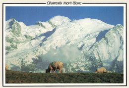 FRANCE - Chamonix Mont Blanc - Vue Sur Le Sommet - Colorisé - Carte Postale - Chamonix-Mont-Blanc