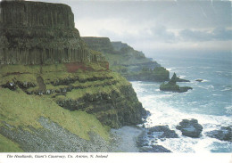 ETATS UNIS - San Francisco - The Headlands, Giant's Causeway - Colorisé - Carte Postale - San Francisco