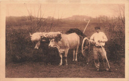 FRANCE - Aux Champs - Dans La Campagne Basque - Carte Postale Ancienne - Autres & Non Classés