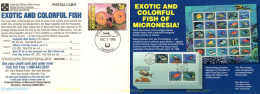719190 MNH MICRONESIA 1996 COLORES EXOTICOS DE MICRONESIA - Micronésie