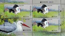 Moldova 2019 (Mi HB25) - White Stork (Ciconia Iconia) - Verzamelingen, Voorwerpen & Reeksen