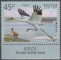Russia 2019 (Mi 2654) - Siberian Crane (Leucogeranus Leucogeranus) - Verzamelingen, Voorwerpen & Reeksen
