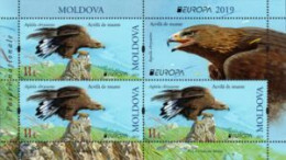 Moldova 2019 (Mi HB26) - Golde Eagle (Aquila Chrysaetos) - Verzamelingen, Voorwerpen & Reeksen